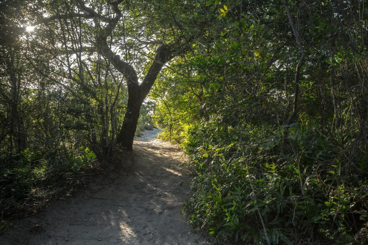 Kosi Forest Lodge Manguzi Ngoại thất bức ảnh