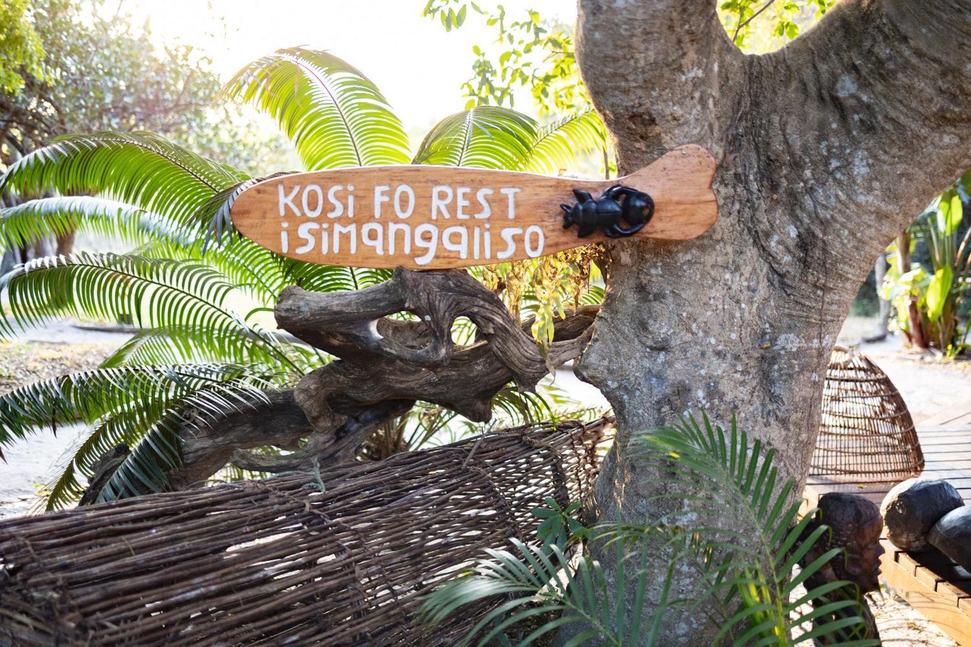 Kosi Forest Lodge Manguzi Ngoại thất bức ảnh