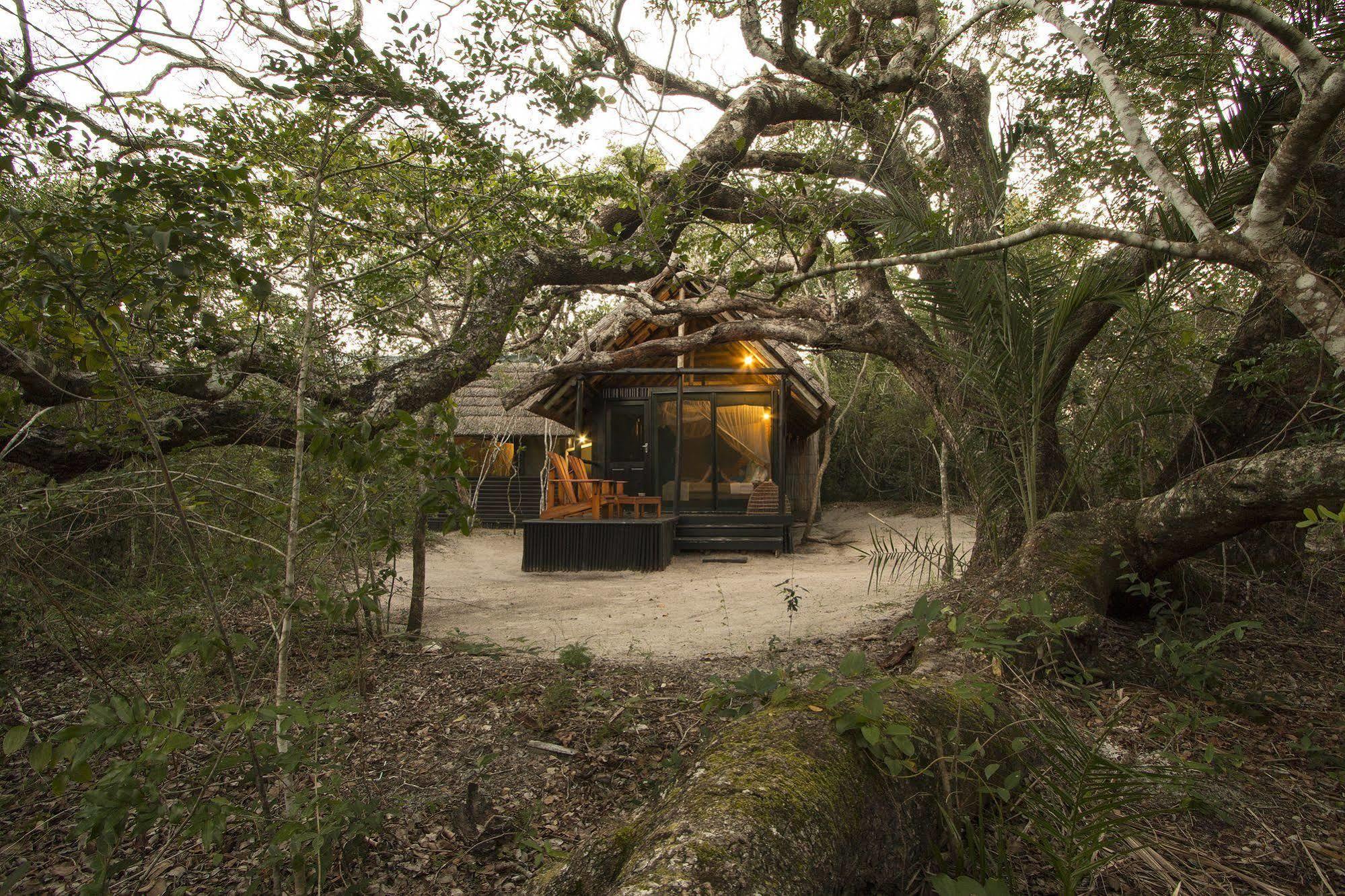 Kosi Forest Lodge Manguzi Ngoại thất bức ảnh
