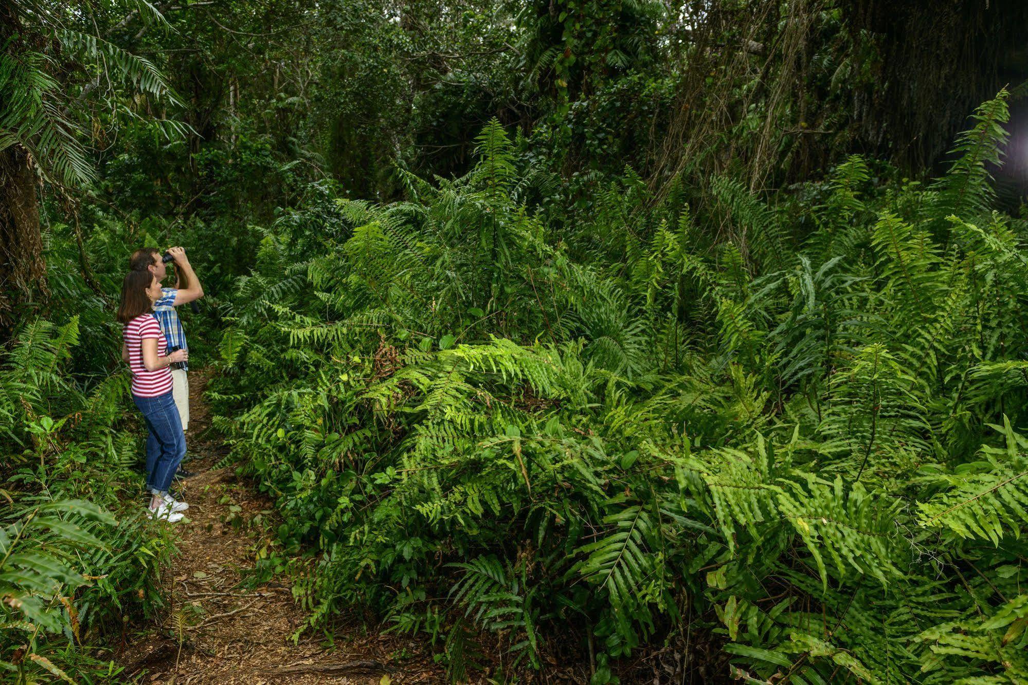 Kosi Forest Lodge Manguzi Ngoại thất bức ảnh