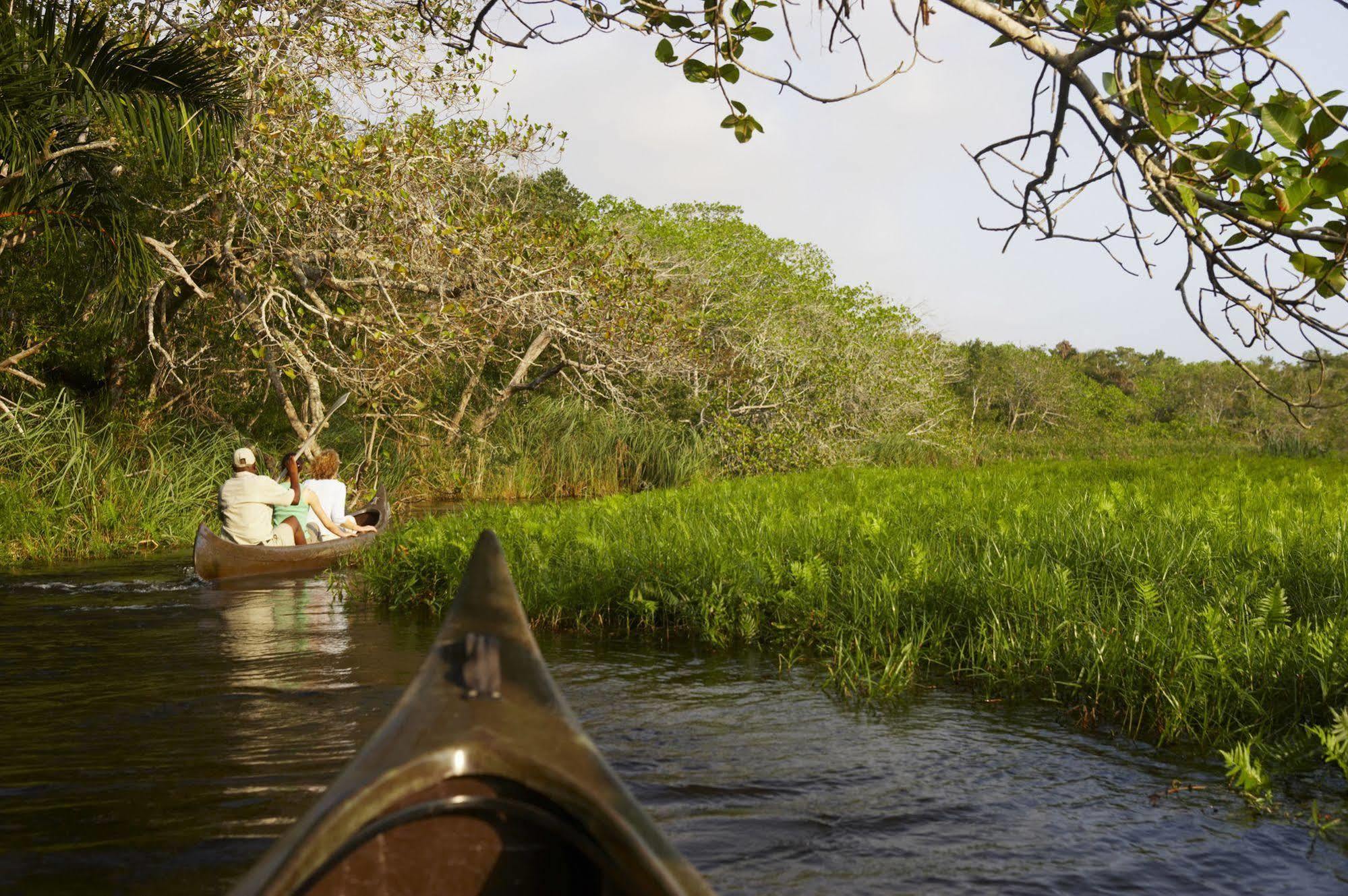 Kosi Forest Lodge Manguzi Ngoại thất bức ảnh