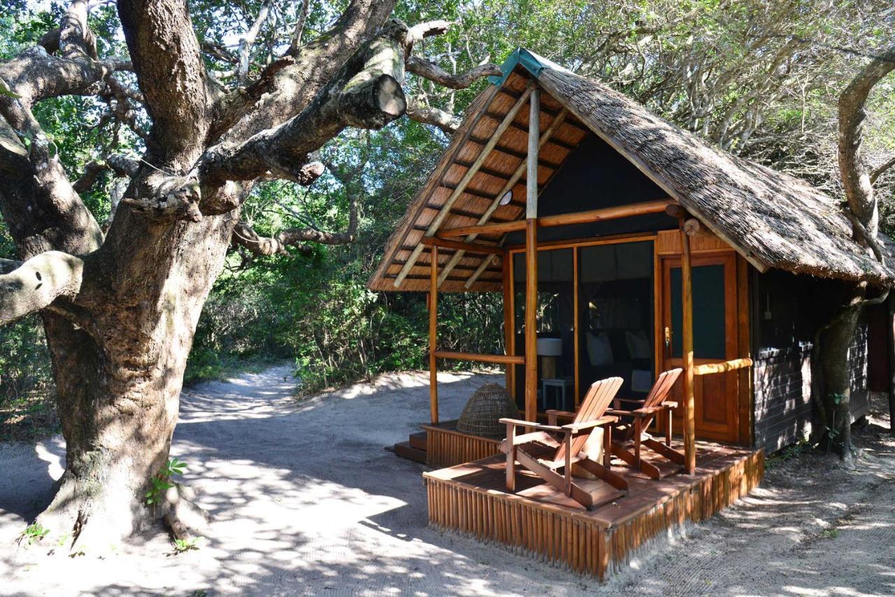 Kosi Forest Lodge Manguzi Ngoại thất bức ảnh