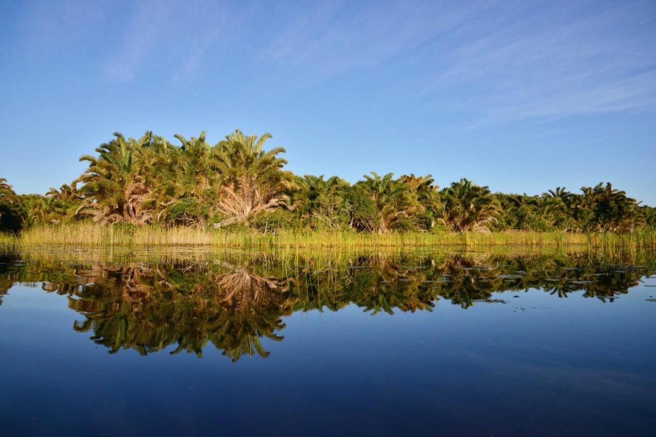 Kosi Forest Lodge Manguzi Ngoại thất bức ảnh